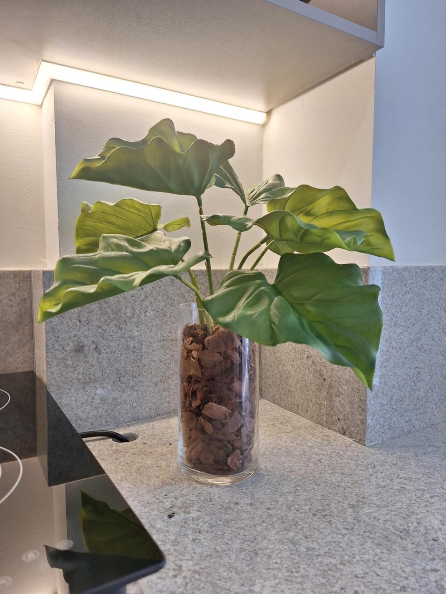 Apartamento Haus #23 - Flat De Luxo Com Terraco *
